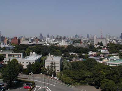 ...Finalmente Tokyo, dalle finestre del nostro albergo a Takanawa